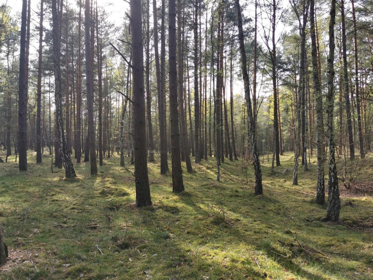 M&k Apartament Kwiatowa Danzig